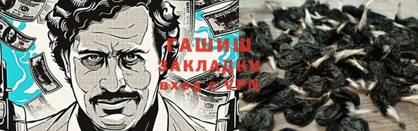 гашик Карталы