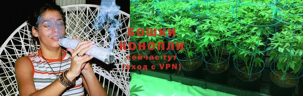 метадон Касимов