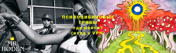 метадон Касимов