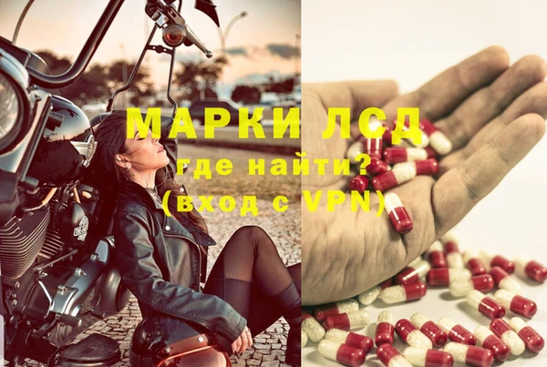 гашик Карталы