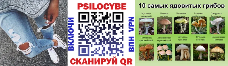 Купить  Дмитровск  Псилоцибиновые грибы мухоморы 