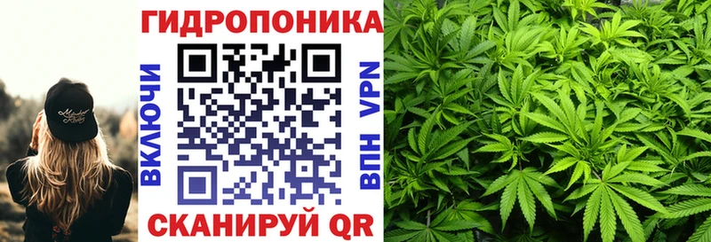 Шишки марихуана OG Kush  Купить где  Дмитровск 